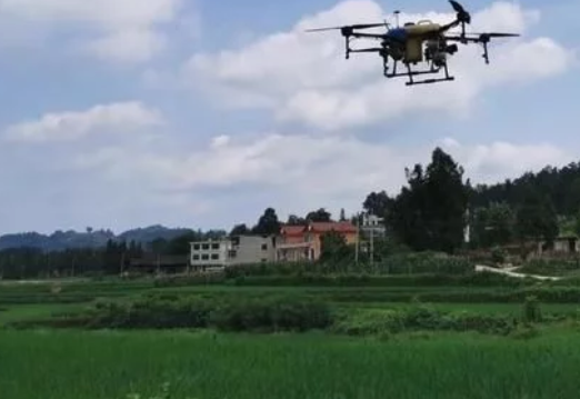 萬山水稻病蟲害防治用上了&ldquo;無人機&rdquo;