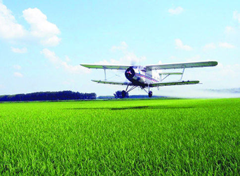 關于做好全省水稻稻瘟病防治工作的緊急通知！