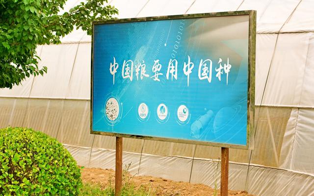 什么是種子處理？你有了解嗎？